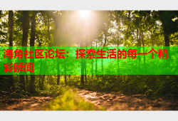 海角社区论坛：探索生活的每一个精彩瞬间