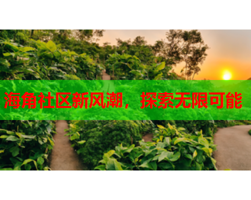 海角社区新风潮，探索无限可能