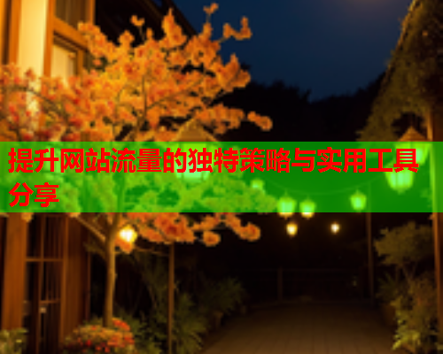 提升网站流量的独特策略与实用工具分享